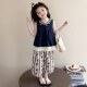 ຊຸດ summer ເດັກຍິງ 2026 ຄົນອັບເດດ: ໃຫມ່ຂອງເດັກນ້ອຍ summer suit ເດັກນ້ອຍຍິງພຽງເລັກນ້ອຍ shell bohemian