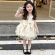 ເດັກຍິງ Summer Princess ແບບ Mesh Puff Dress