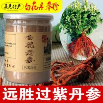 Fleurs blanches Red Sage Root Poudre Zhengzong Shandong Laiwu Baihua Red Sage Root Slice Powder Fine Powder Far Away Wild Purple Sage Root Poudre