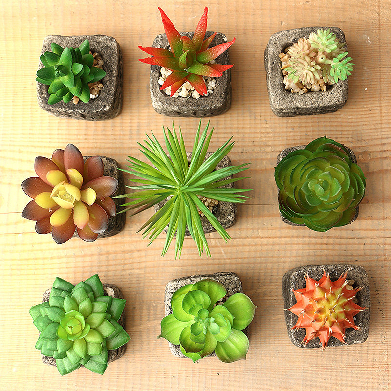 ��ĽС������