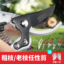 Taiwan imported gardening branch scissors scissors artifact tools Powerful garden scissors Household labor-saving fruit tree scissors flower scissors