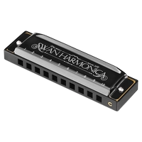 天鹅 Blues Harmonica Professional играет в десять лунок для новичков для детей в блюзах 10 лунок для взрослых студентов