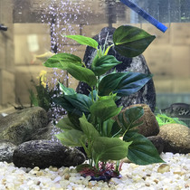 Langhu aquatic plants fish tank aquarium decoration landscaping simulated aquatic plants large leaves green silk cloth simple and elegant high 30CM