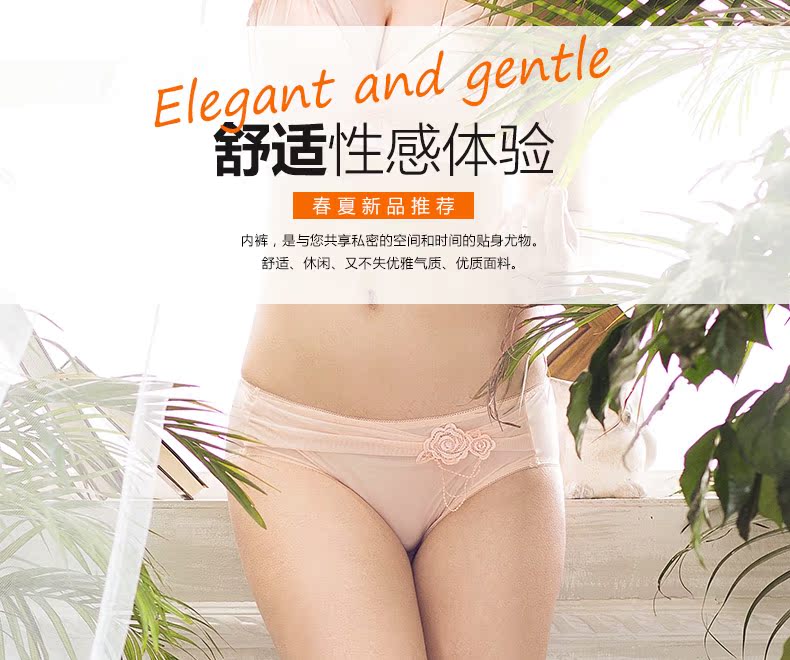 Slip 1979#KK - Ref 668460 Image 6