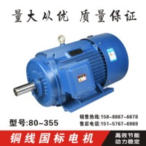 National standard 30KW kW AC three phase asynchronous motor YE2-200L-4p class motor 380V Motor Motor