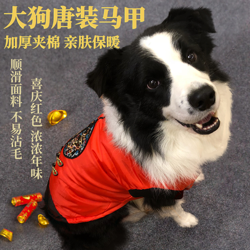 Dog Tang Dress Cotton Clothes Samo Golden Hair Big Dog Clothes Border Collie Big Dog Fall/Winter Warm New Year Cotton Coat Vest