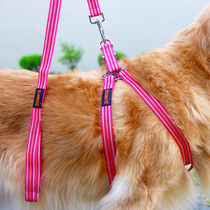  Big dog double-sided high-gloss silk chest-back traction suit Strong tensile reflective golden retriever Satsuma white-haired dog walking rope