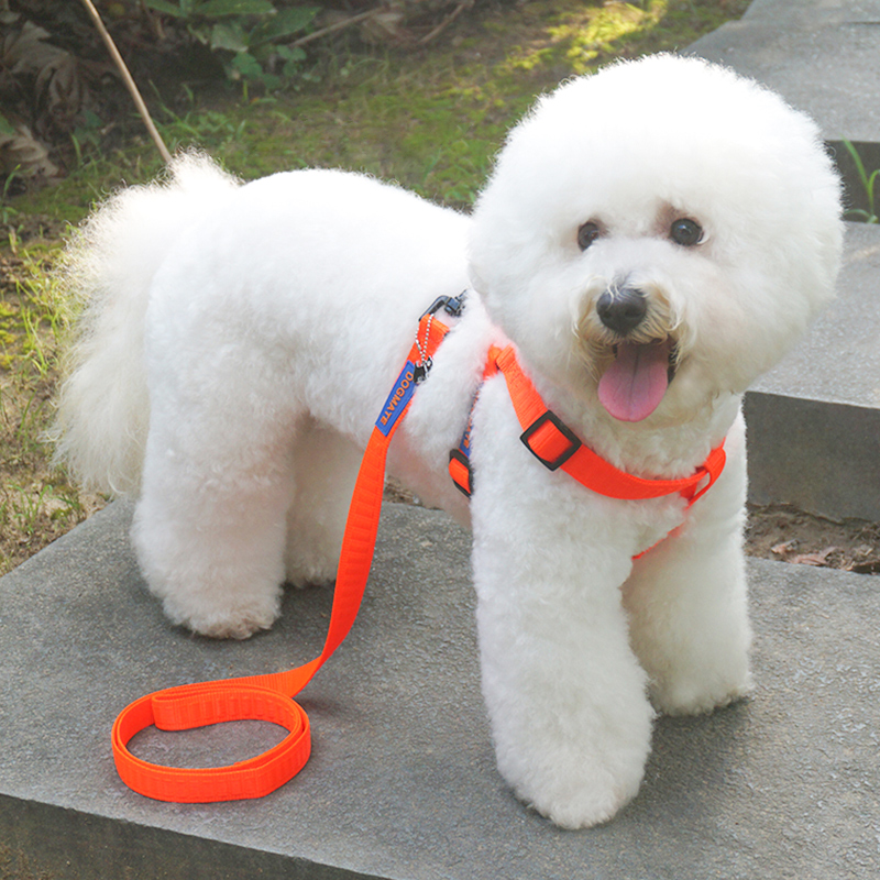 Small and medium dog dog chain sub-tensile small dog traction rope VIP dog teddy walking dog Rope Type Dog Chest Harness-Taobao