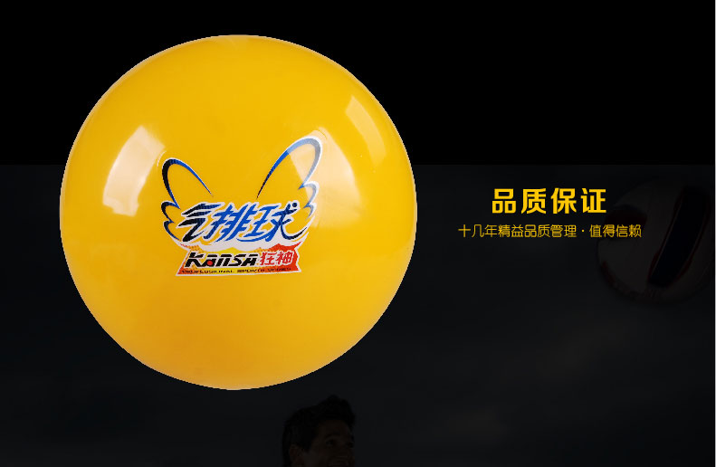 Ballon de volley - Ref 2012503 Image 9