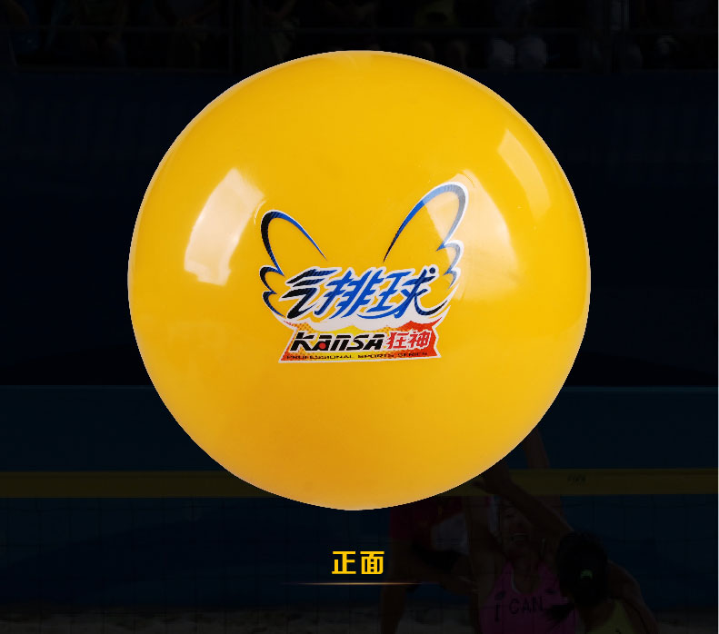 Ballon de volley - Ref 2012503 Image 4