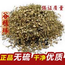 Grain grass Chinese herbal medicine wild new goods supply market Valley sperm meteor grass Pearl grass 500g