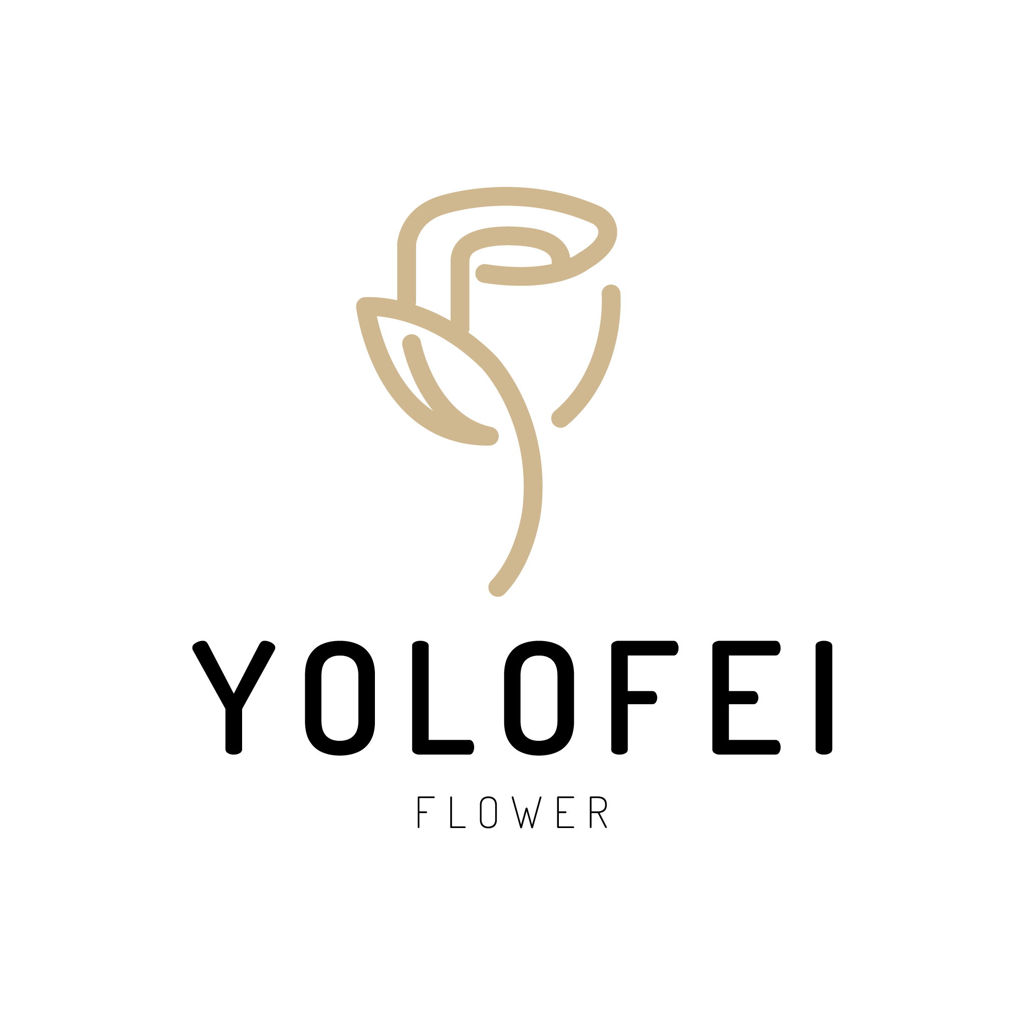 YOLO FEI