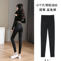 Shark skin beating bottom pants woman outside wearing spring and autumn stretch elastic 90% small subcompact bodybuilding bodysuit yoga pants gush thicken