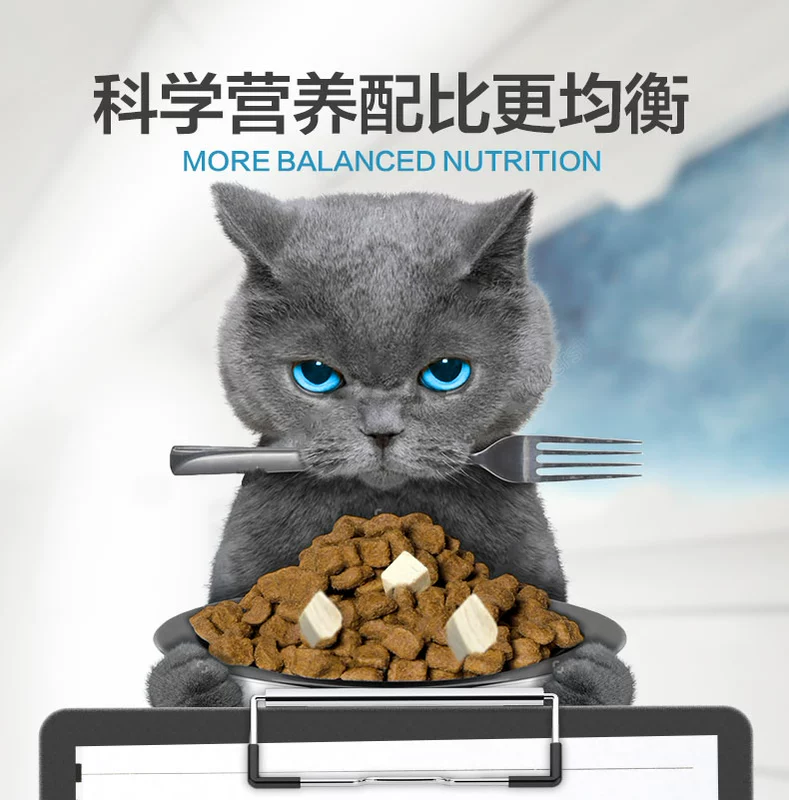 Gói dùng thử thức ăn cho mèo đông lạnh LORDE 50g * 3 gói - Cat Staples