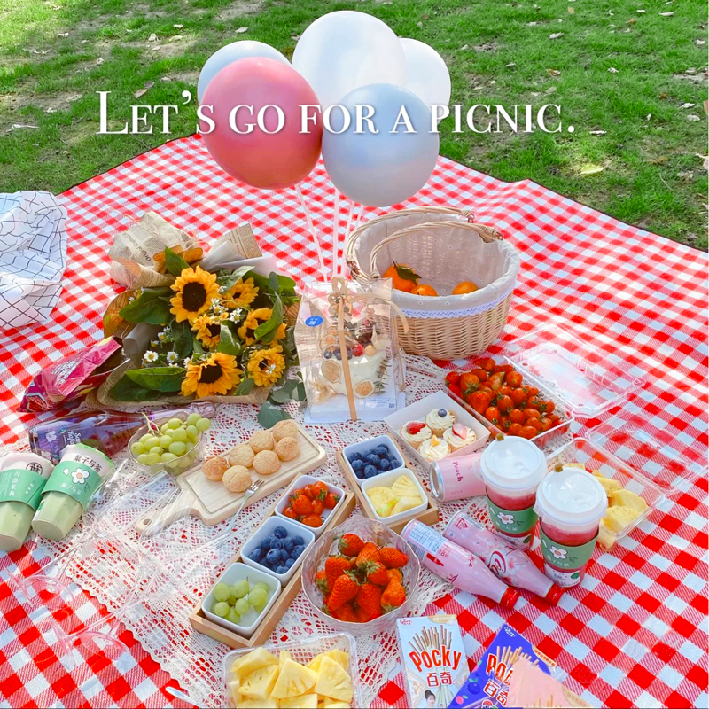 Thickened picnic mat ins wind spring travel mat outdoor portable waterproof pastoral Japanese-style moisture-proof picnic picnic cloth