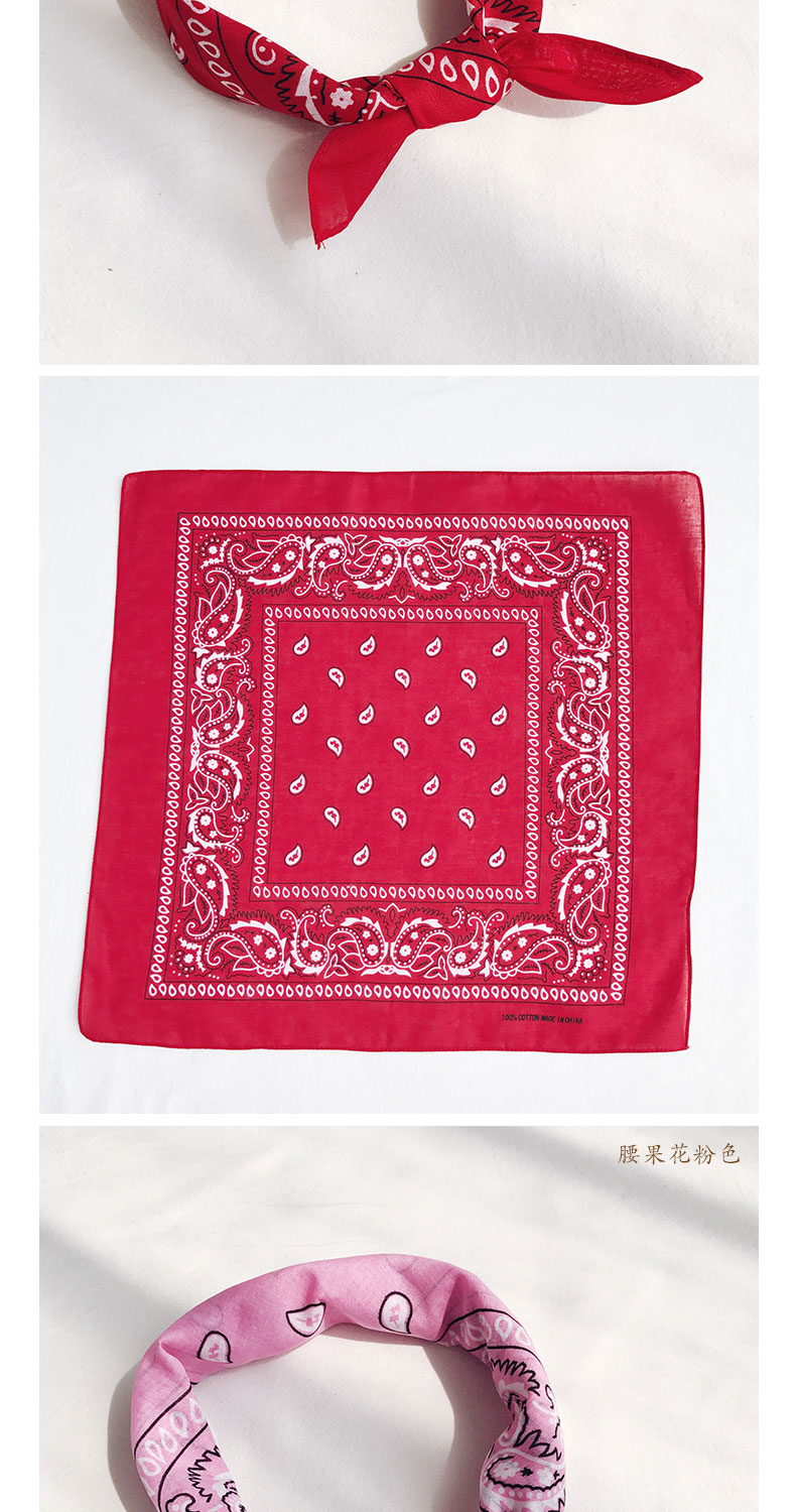 Foulard pour Femme en Coton - Ref 3160320 Image 15