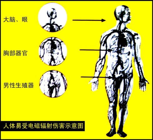 电磁辐射对人体的危害