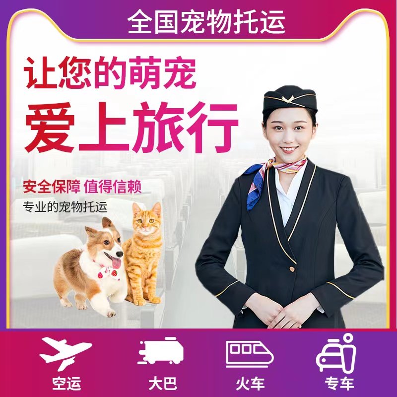 Pet Consignment Service Cats and dogs are shipped with the owner by train Dalian Shenyang to the whole country by air for dogs and cats - Taobao