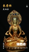 Nepal handmade Tibetan Buddhism tantric Buddha statue with backlit 33cm longevity Buddha statue