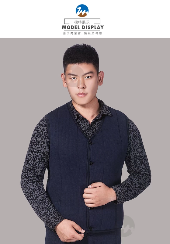 Mùa thu và mùa đông nam trung niên cotton vest ấm áp cơ thể dày áo vest lạc đà và vest cotton sang trọng cha kích thước lớn áo vest trung niên