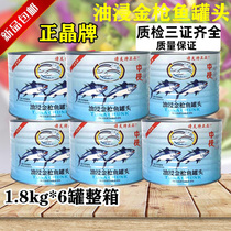 Positive crystal Oil Soaked Tuna Canned 1800g * 6 cans Whole Box Sushi Pizza Salacan Head Food