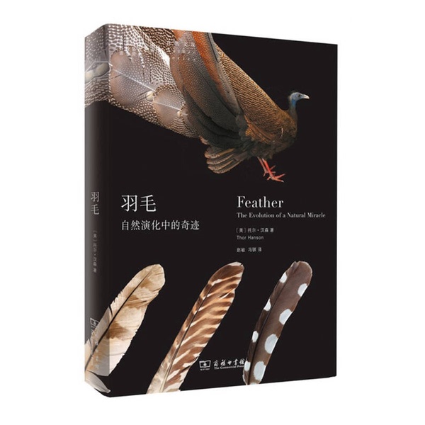 Authentic, Almost New Book | Feathers: the Miracle of Natural Evolution by Thor Hanson (Usa); Translated by Zhao Min and Feng Ji, Commercial Press Authentic, Almost New Book | Feathers: the Miracle of Natural Evolution by Thor Hanson (Usa); Translated by Zhao Min and Feng Ji, Commercial Press