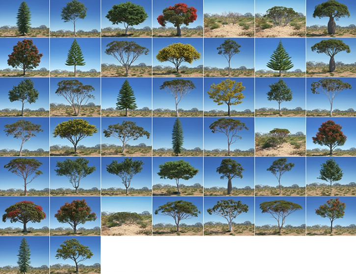 C4D景观植物FBX大树Blender树木Maya绿植三维3D模型