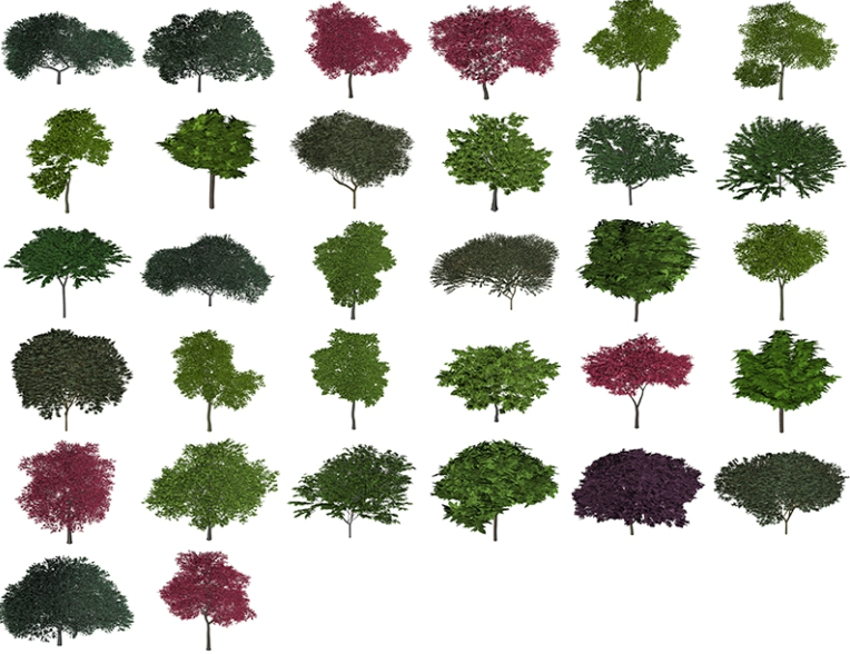 C4D FBX OBJ Blender Maya树木植物景观树三维模型-cg男孩