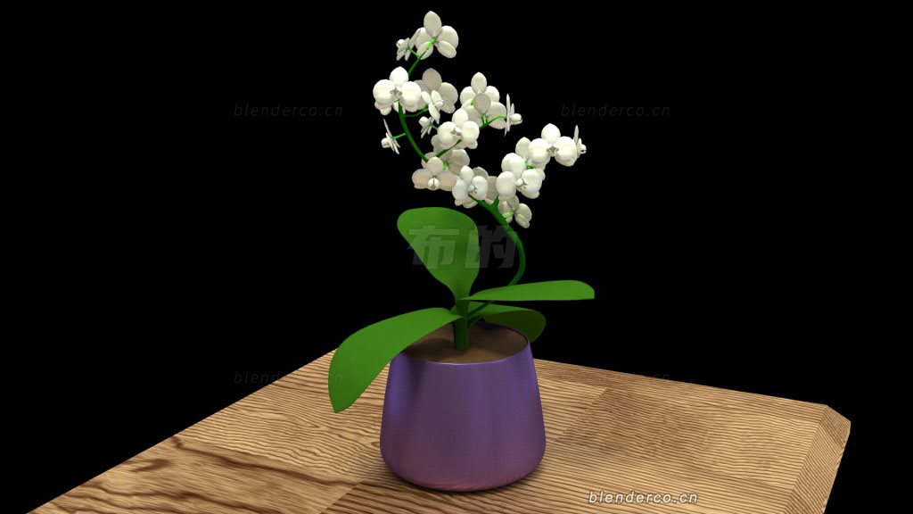 blender盆栽鲜花模型blender布的