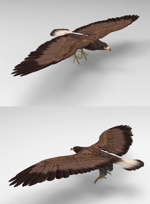 C4D飞行动物FBX老鹰STL鸟类OBJ禽类飞禽三维模型