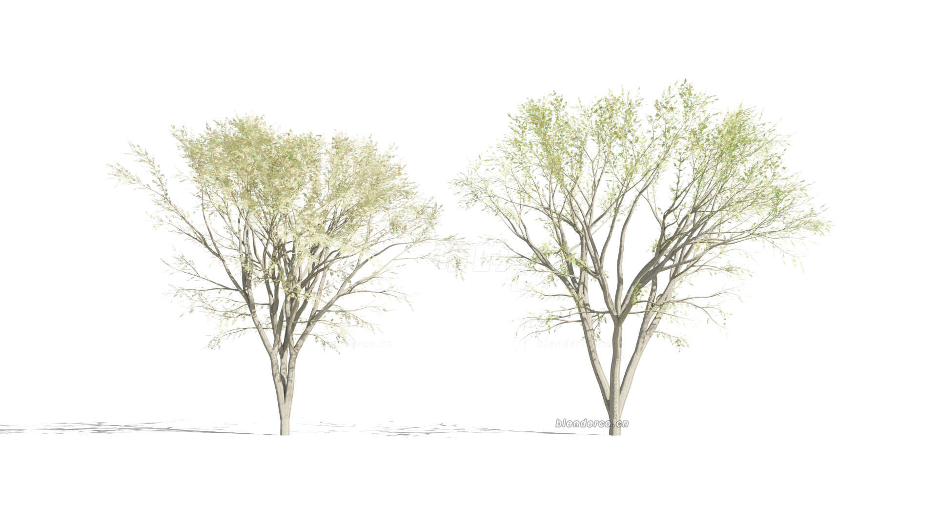 Blender布的-blender大树森林模型