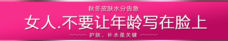 璐瑶纳米蒸脸器美容仪家用便携充电脸部喷雾器加湿器冷喷机