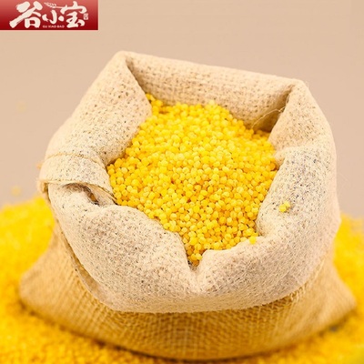 有机黄小米2斤绿色食品
