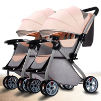 Продвинутые модели разделяют близнецы