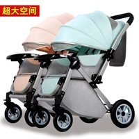 Уважение моделей для разборки двойных двойных цветов