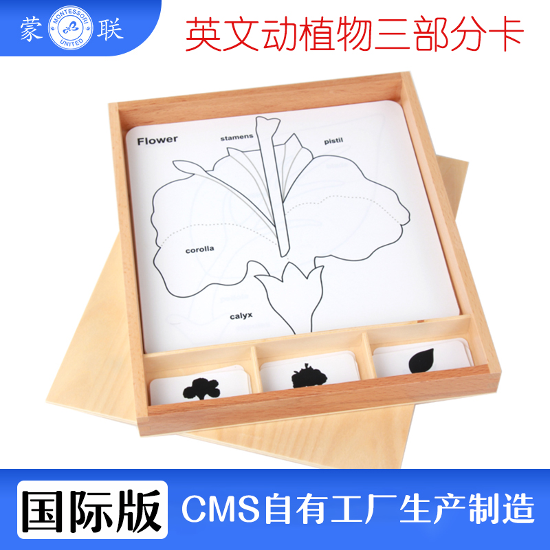 Montessori Early Education 2-3-4-5-6 Professional Montessori Teaching Aids Animals and Plants Three-part Card Three-part Card