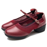 赛彩 Туфли, дышащая танцующая современная обувь, мягкая подошва