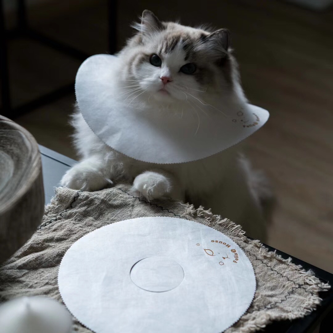 Also stay DuPont paper Elizabeth ring neck cover tear unbreakable waterproof anti-bite ring cat anti-licking hood