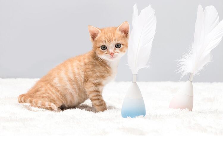 PIDAN cat toy drop morning dew without tumbles natural goose feathers teasing cat sticks English short and young cat kitty toys