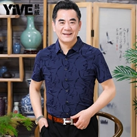 6377 Тибетский Цин