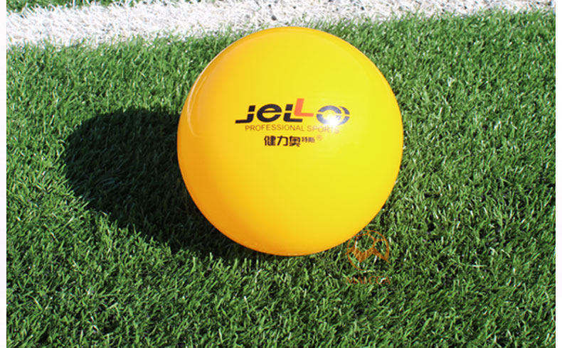 Ballon de volley-ball - Ref 2012024 Image 16