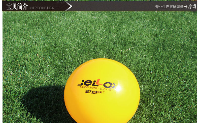 Ballon de volley-ball - Ref 2012024 Image 8