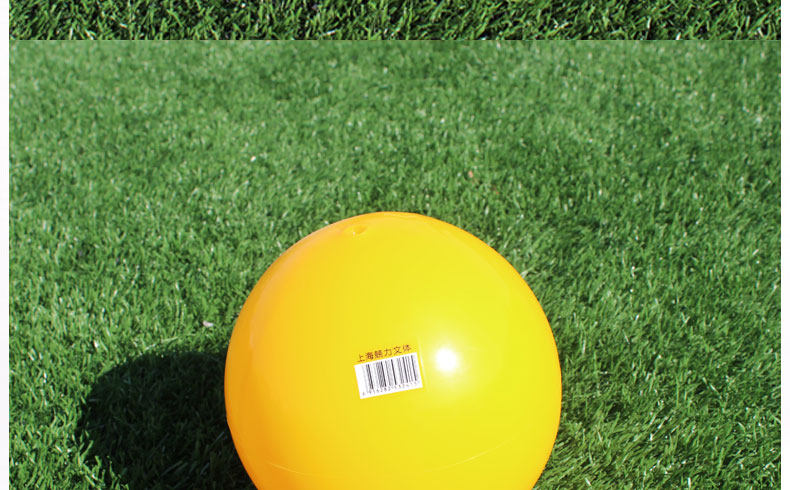 Ballon de volley-ball - Ref 2012024 Image 17