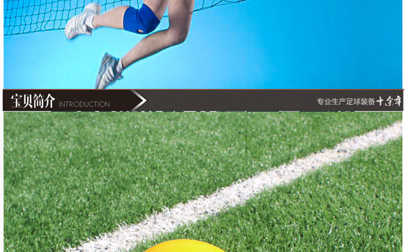 Ballon de volley-ball - Ref 2012024 Image 6