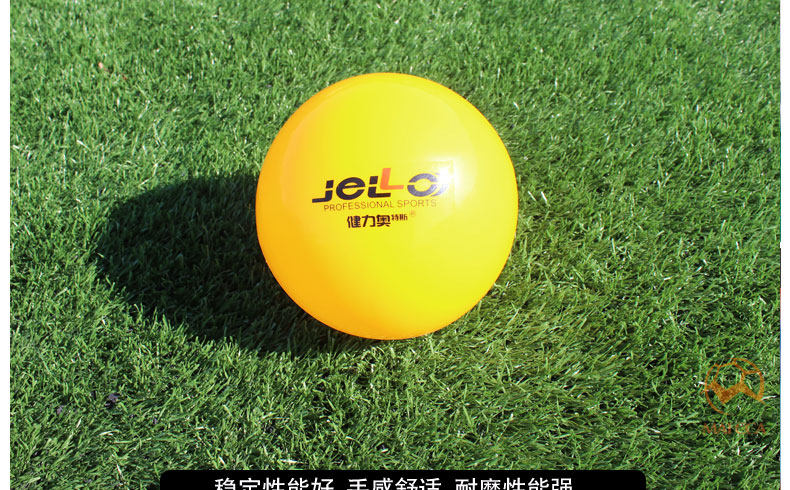 Ballon de volley-ball - Ref 2012024 Image 12