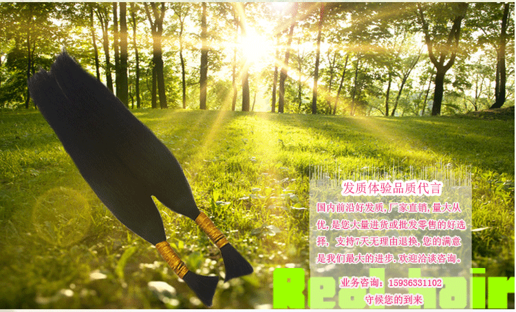 Tête mannequin - Ref 280024 Image 16