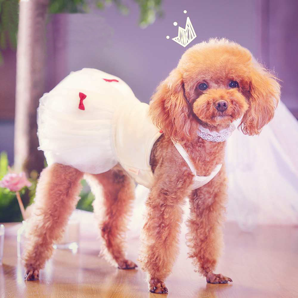 Dog Wedding Dress Puffy Skirt Pet Teddy Bichon Pomeranian Summer Thin Wedding Sweet Princess Dress Dress