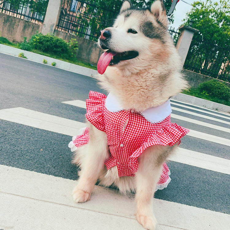 Large dog skirts spring and summer thin section female dog clothes large canine wool Labrador Breathable Plaid Skirt
