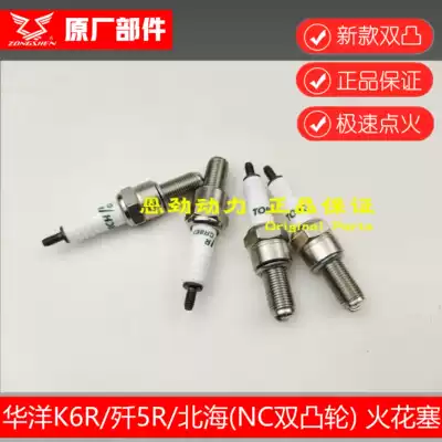 Huayang K6R double Cam spark plug NC250S original spark plug Zongshen NT250 new RX3 burner