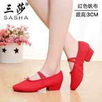 Красный холст кота